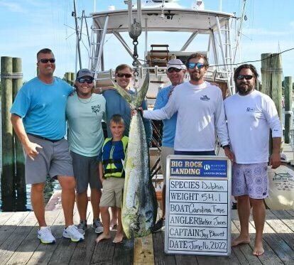 Winslow Taylor Dolphinfish